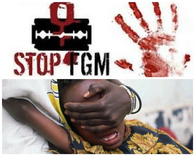 MGF Stop