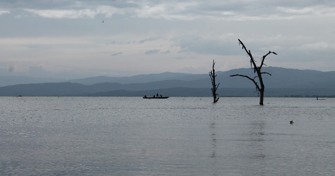 Paseo en barca en el Lago Naivasha
